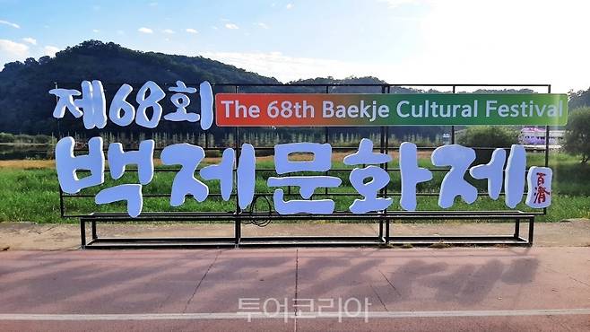 코스모스 활짝 피어난 공주군 금강신관공원