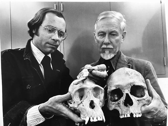 화이트와 클라크가 새로 발견한 화석을 침팬지 및 인류 머리뼈와 함께 보여주고 있다. 김영사 제공