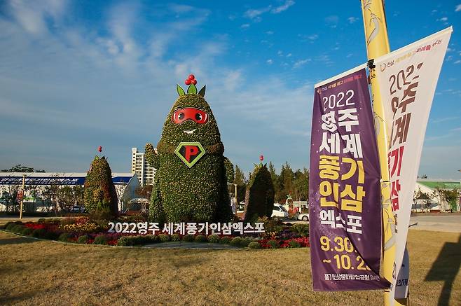 2022영주 세계풍기인삼엑스포 [영주시 제공, 재판매 및 DB 금지]