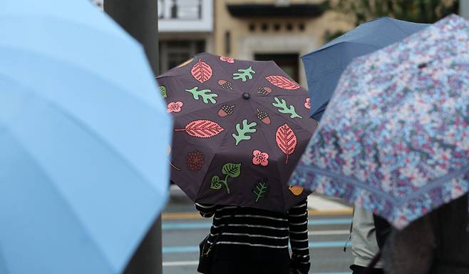 서울 종로구 세종대로 사거리에서 한 시민이 낙엽이 그려진 우산을 쓰고 있다./사진=뉴스1