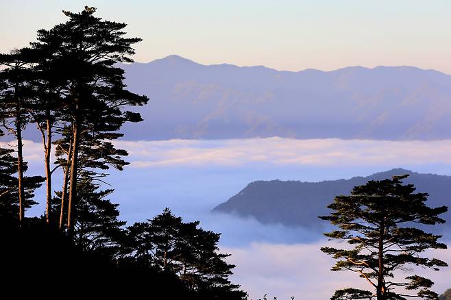 사진 인제군