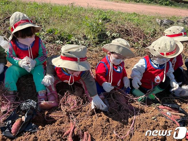 전남농업박물관에서 진행한 농산물 수확 체험 모습.(전남도 제공) 2022.10.3/뉴스1