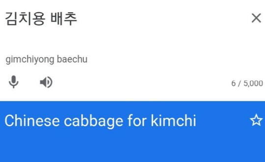 구글 번역기에 '김치용 배추'를 검색하면 'Chinese cabbage for Kimchi'(김치를 위한 중국 배추)'라고 번역되는 모습. (사진=서경덕 성신여대 교수 페이스북)