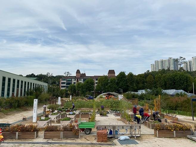 서울시가 전국에서 처음으로 강동구 상일동에 문을 연 농업치유센터의 상자텃밭 농장. 서울시 제공