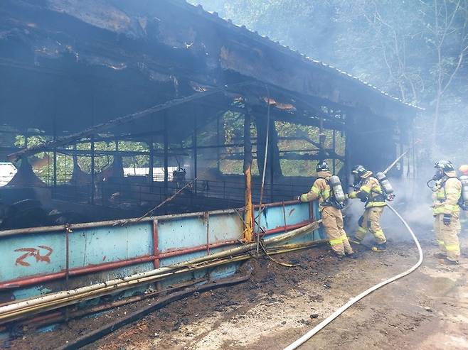[진천=뉴시스] 조성현 기자 = 4일 오후 1시34분께 충북 진천군 진천읍 한 돼지 축사에서 불이 나 소방당국이 진화작업을 하고 있다. (사진=진천소방서 제공) 2022.010.04. photo@newsis.com *재판매 및 DB 금지