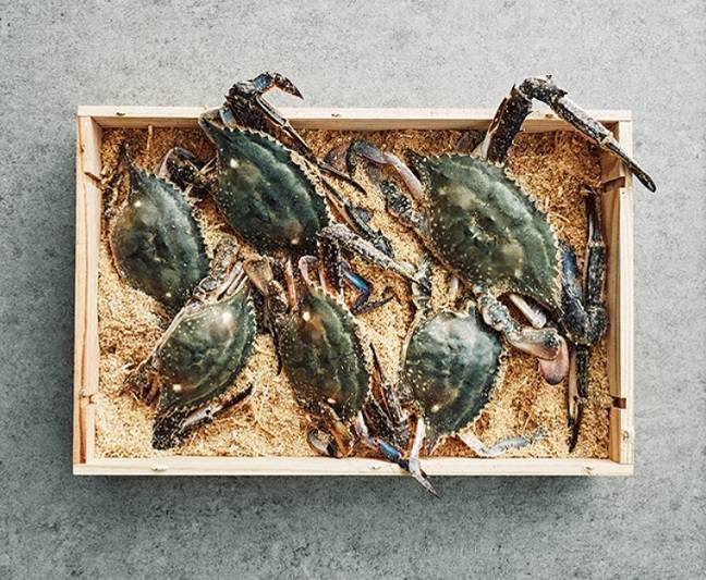 마켓컬리에서 판매 중인 신진도 햇꽃게./사진제공=마켓컬리