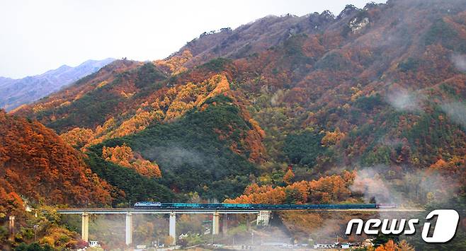 한국철도공사가 태백지역 가을축제 관광열차를 운영한다. (한국철도공사 제공)