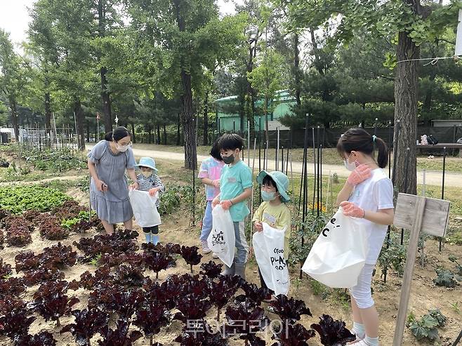 서울어린이대공원 생태체험 프로그램