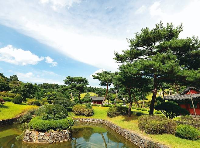 사진 강남구 제공