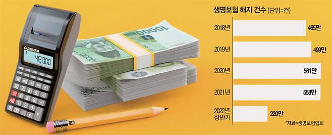 [사진 출처 = 게티이미지뱅크]