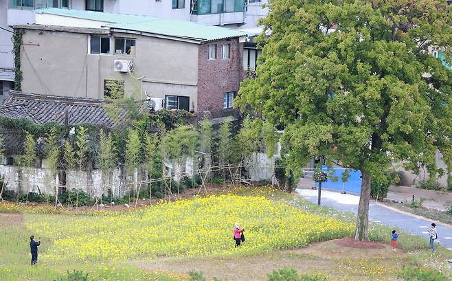 6일 서울 종로구 경복궁 인근 송현동 부지에 마련된 열린송현 녹지광장에서 시민들이 기념사진을 찍고 있다. [연합]