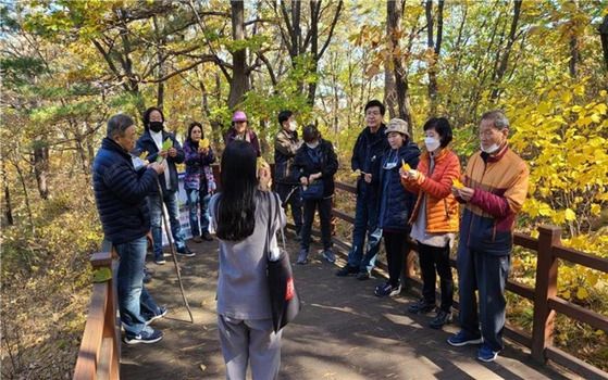 산림치유 프로그램에 참가한 모습. 국립산림과학원 제공