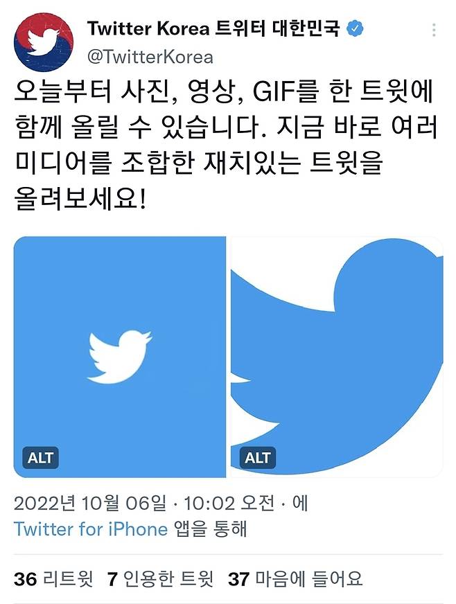 트위터 미디어 조합 기능 [트위터 제공. 재판매 및 DB 금지]