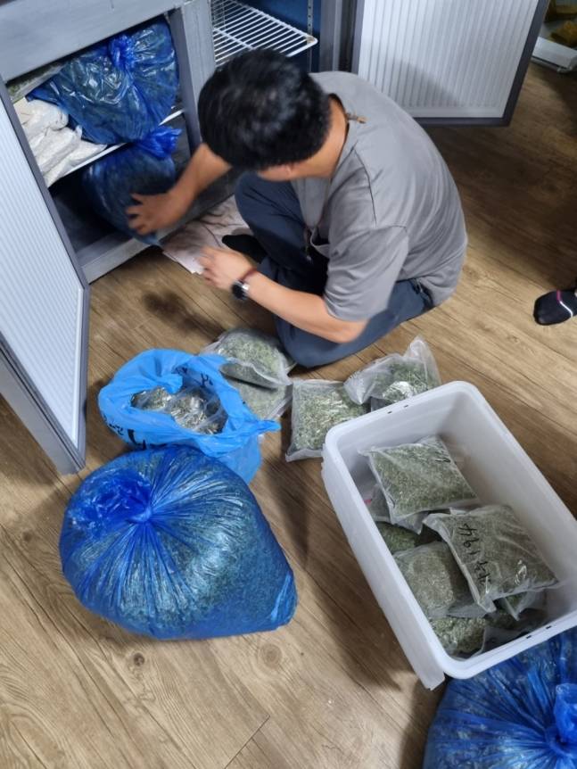 일당은 대마 종자를 수확한다고 지자체 허가를 받아놓고 대마 잎을 말려 마약을 만들어 팔았다. 양을 늘리기 위해 액상 카트리지도 직접 만들었다. 경찰이 압수한 대마초만 30여kg이다. 이는 지난해 1년 동안 압수한 대마초 절반을 넘는 양이다. /사진제공=서울경찰청