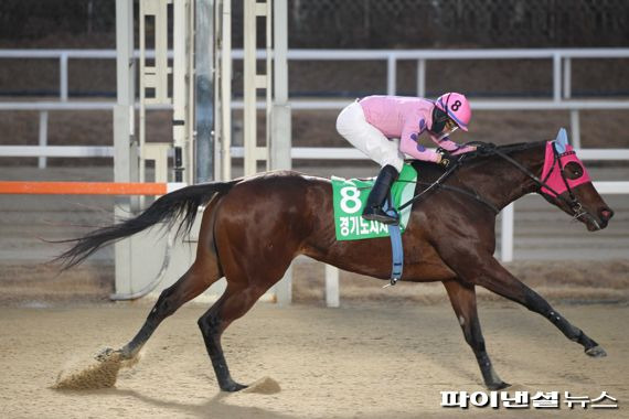 경주마 위시미. 사진제공=한국마사회