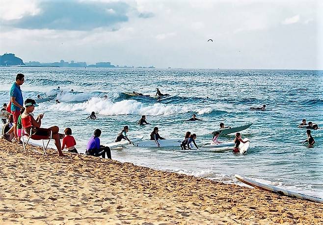 강원도 양양군은 서울-양양 고속도로 개통을 계기로 서핑을 대표적인 관광상품으로 개발해 교류 인구를 크게 늘렸다. 사진은 서핑을 즐기는 관광객들./양양군청
