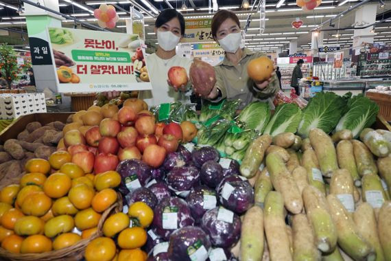 11일 서울 서초구 농협유통 하나로마트 양재점에서 직원들이 못난이 농산물을 선보이고 있다. 농협유통은 오는 16일까지 맛과 영양소는 그대로면서 가격은 최대 60% 저렴한 '살 맛나는 못난이 농산물 모음전' 행사를 진행한다고 밝혔다. 사진=서동일 기자