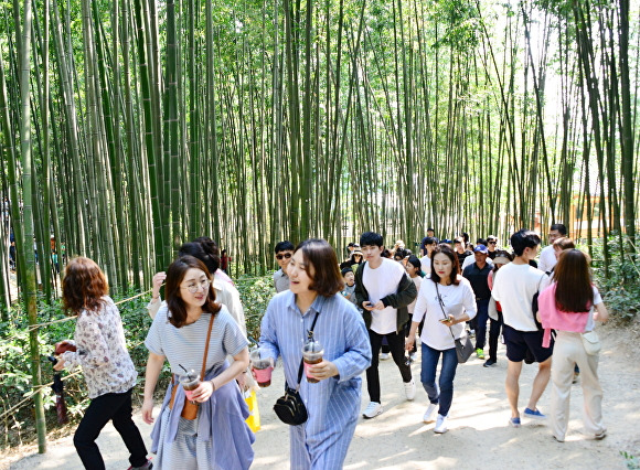 전라남도 담양군 죽녹원에서 관광객들이 대나무를 구경하고 있다. [사진=담양군]