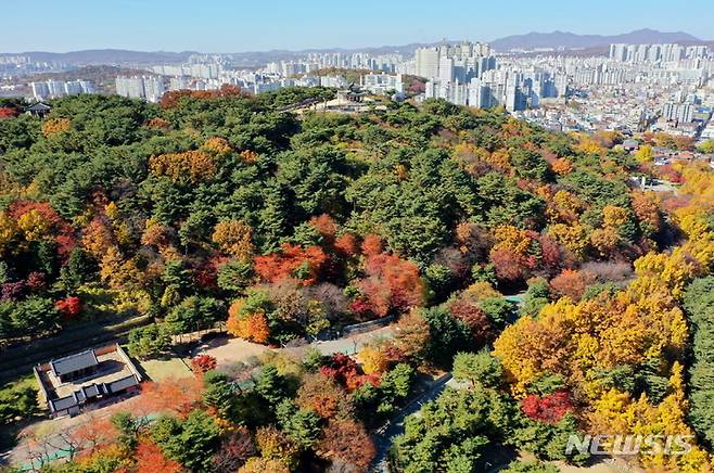 [수원=뉴시스]가을철 오색 단풍으로 물든 팔달산.