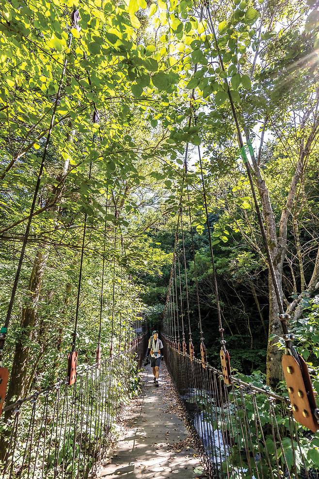 황룡사와 등산로를 잇는 출렁다리는 유독 반동이 심해 재밌다.&nbsp;
