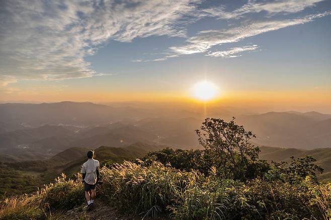 &nbsp;일몰을 맞아 정상부 억새가 황금빛으로 따뜻하게 물들었다.&nbsp;