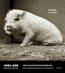 ‘사로잡는 얼굴들’. 가망서사 제공