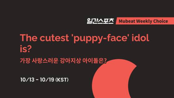 일간스포츠X뮤빗