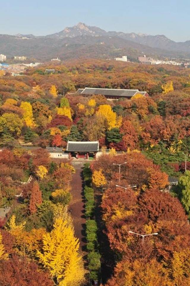 ▲종묘의 가을Ⓒ문화재청