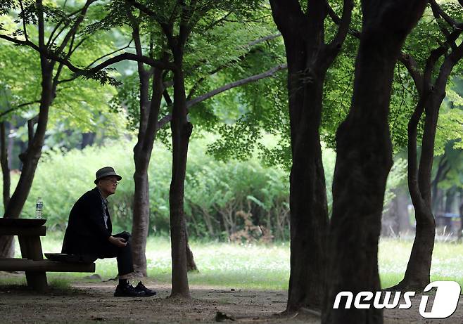 서울 서초구 양재시민의 숲을 찾은 한 어르신이 나무가 만들어 준 그늘 속에서 더위를 피하고 있다. 2018.6.19/뉴스1 ⓒ News1 이재명 기자
