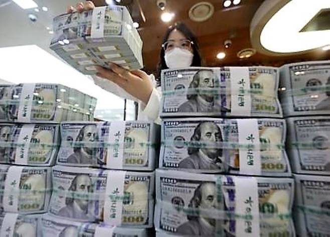외환 전문가들은 외환 시장이 급변동하고 있지만, 한국은 충분한 외환보유액을 갖고 있다고 평가한다. 사진은 지난 10월 7일 서울 중구 하나은행에서 직원이 달러화를 정리하고 있는 모습./뉴시스
