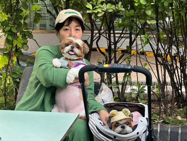 백미현씨가 지자체 보호소와 동물보호단체에서 각각 입양한 시츄 '김치'(왼쪽), '찐빵이'와 사진촬영을 하고 있다. 고은경 기자