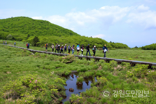 ▲ 대암산 용늪 탐방 모습