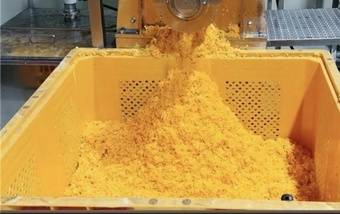 감귤 착즙 후 쏟아지는 감귤박. (일해 제공)