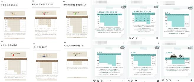 오모 씨의 블로그 게시물(왼)과 같은 내용의 A업체의 인스타그램 게시물(오). [오모 씨 제공. 재판매 및 DB 금지]