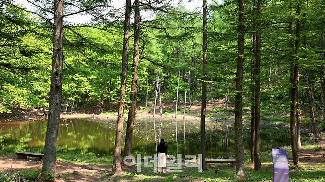 지난 8일과 9일 방송된 SBS 금토드라마 ‘천원짜리 변호사’의 주요 배경이 된 강원도 정선 백운산 능선에 자리한 ‘도롱이 연못’