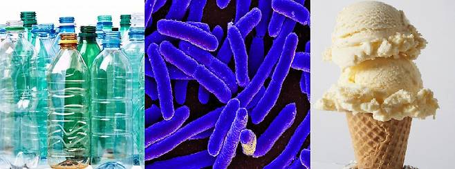 영국 과학자들이 대장균(가운데)을 이용해 버려지는 페트병(왼쪽)을 아이스크림에 들어가는 바닐라 향 원료로 변신시켰다./위키미디어