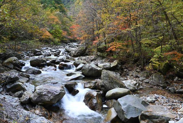 미천골자연휴양림 탐방로는 계곡을 따라 길게 이어진다. 바위 사이로 하얗게 부서지는 물줄기가 단풍과 어우러진다. 지난 14일 풍경이다.