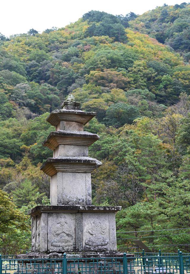 미천골 하류 선림원지의 삼층석탑. 뒤편 단풍은 이번 주부터 다음 주까지 절정에 달할 전망이다. 사진은 지난 14일 풍경이다.