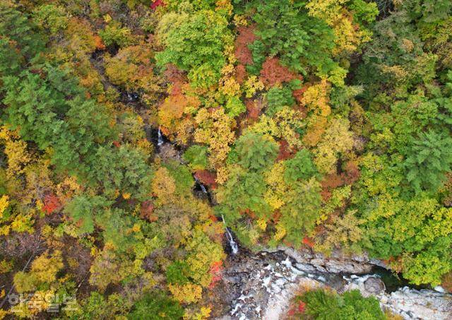 14일 미천골 상직폭포 주변에 단풍이 곱게 물들었다.