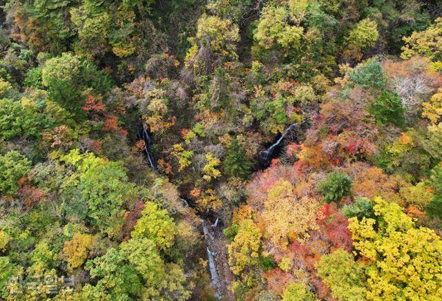 불바라기 약수를 사이에 두고 황룡폭포(왼쪽)와 청룡폭포 물줄기가 계곡으로 쏟아지고 있다.