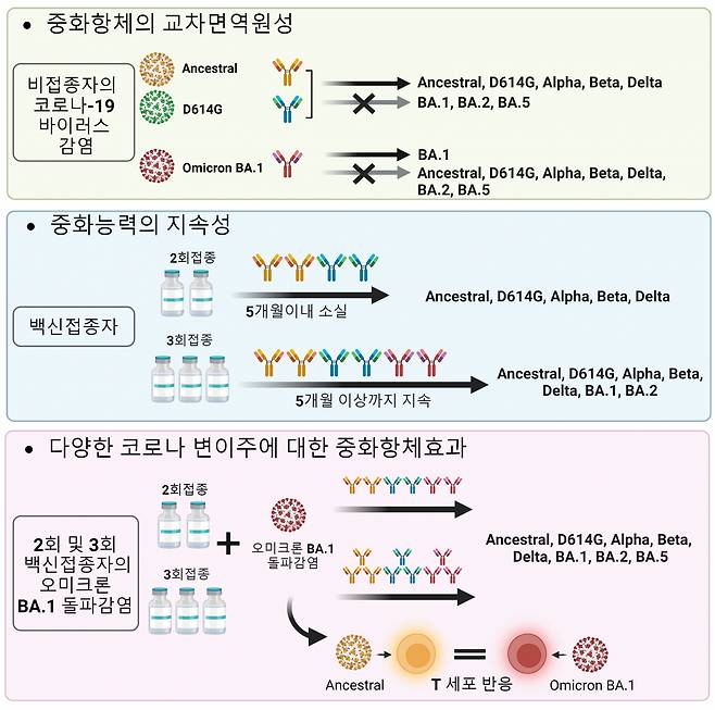 이번 연구결과 모식도.[IBS 제공]