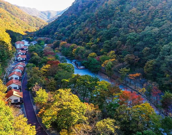 금산산림문화타운