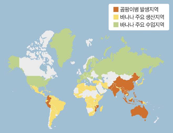 지난 30년간 전 세계 바나나 경작지에 치명적인 곰팡이병이 퍼졌다. 붉은색은 곰팡이병 발생지역이고 노란색은 바나나 주요 생산지역, 녹색은 바나나 주요 수입지역이다. /미주농업협력연구소