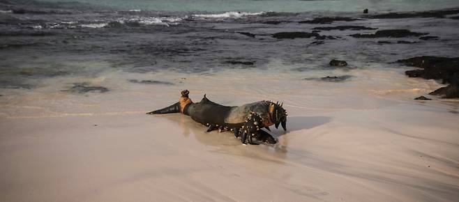 진주아 작가 개인전 ‘MACROEVOLUTION’