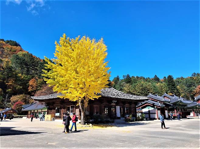 Visitors walk in the courtyard of Baekdamsa in Inje, Gangwon Province, Tuesday. (Lee Si-jin/The Korea Herald)