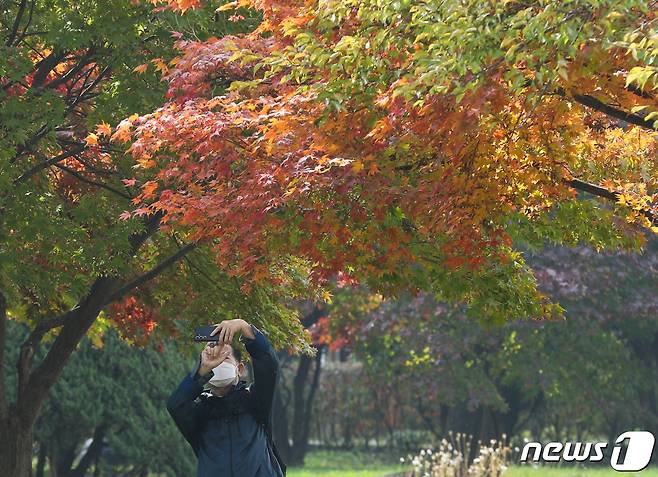 한 시민이 단풍 사진을 찍고 있다. ⓒ News1 신웅수 기자