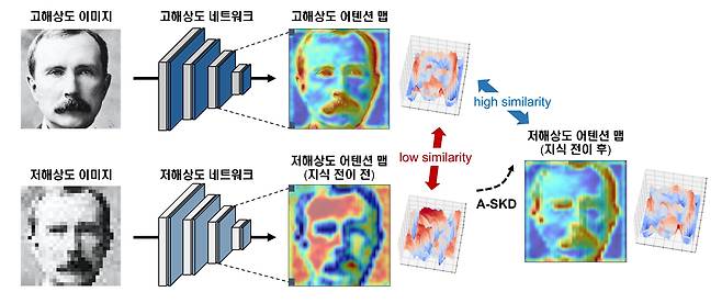 해상도가 높은 이미지를 학습한 인공지능(위)은 높은 인식 정확도를 보이며, 이때 추출된 어텐션 맵은 눈, 코, 수염과 같이 사람을 구분 짓는 주요 영역에서 활성화된다. 저해상도 이미지를 학습한 인공지능(아래)은 피부처럼 해상도 변화에 둔감한 영역에서 높은 활성도를 보인다. 이런 인공지능에게 고해상도 네트워크에서 추출된 어텐션 맵을 이전하면 성능이 향상된다./GIST