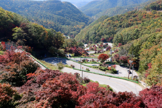 보은속리산 말티재 전경 모습. 사진=보은군 제공