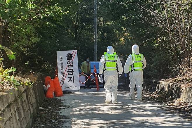 경북 예천군 조류인플루엔자 방역대책본부가 24일 AI 방역 조치를 위해 거리 이동을 통제하고 있다. 예천군 제공