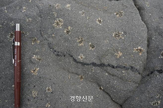 제주도 세계유산본부는 마라도 현무암에서 꽃 문양을 한 작은 구 형태(직경 1∼1.5㎝)의 군집이 발달한 것을 확인했다고 밝혔다. 제주도 제고